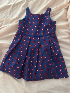 Janie and Jack Blue Dress with Red Floral Print